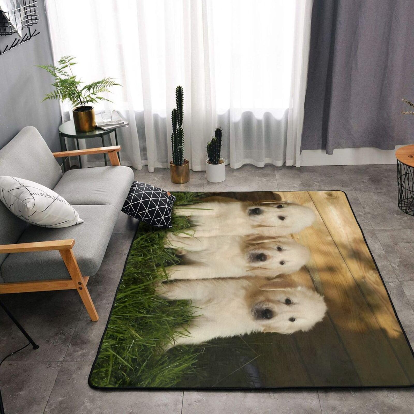 Amazon | カーペット ラグマット 3匹のゴールデンレトリバーの子犬 多